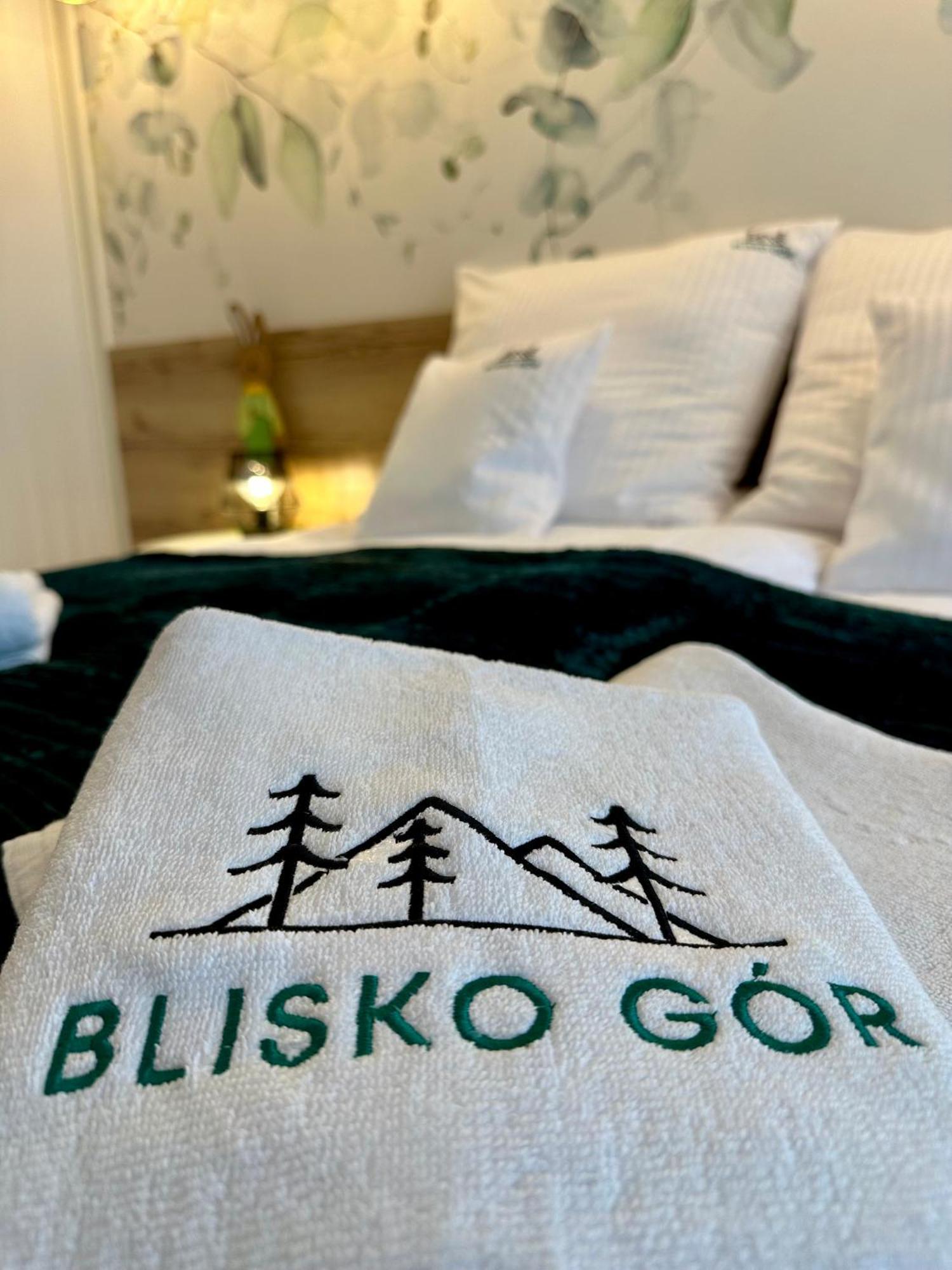 Blisko Gor Szyndzielnia Apartment Bielsko-Biala Exterior foto